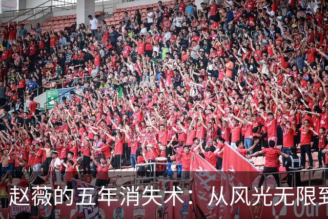 赵薇的五年消失术：从风光无限到低调生活的背后故事